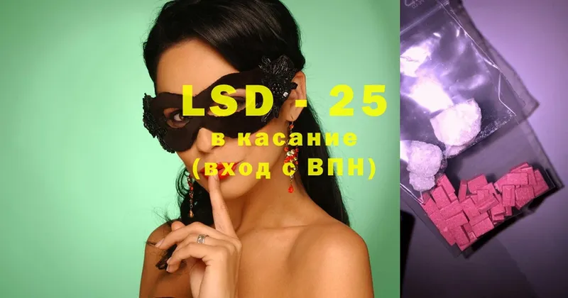 дарнет шоп  Кедровый  LSD-25 экстази кислота 